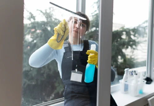 Nettoyage de vitres intérieures et extérieures à Anlezy